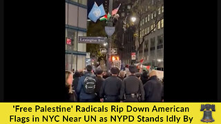 'Free Palestine' Radicals Rip Down American Flags in NYC Near UN as NYPD Stands Idly By