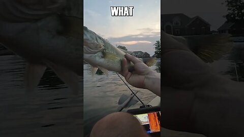 Wacky Riggin! When You Pick The Right Bait!