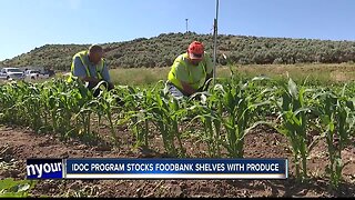 IDOC program stocks foodbank shelves with produce