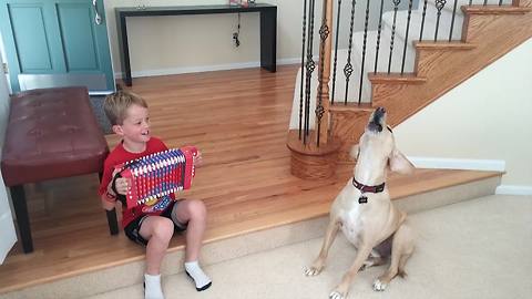 A Boy And His Canine Friend Form A Band