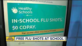 Hernando County Schools offering free flu shots