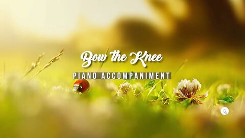 Bow the Knee | Piano Accompaniment
