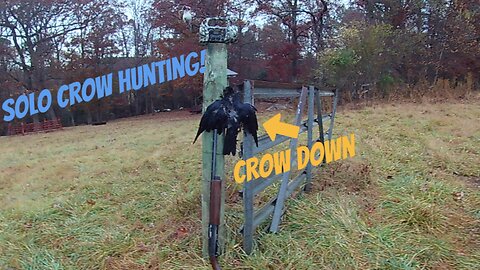 Crow Hunting!!