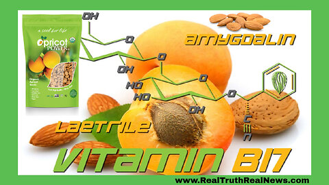 🍑 Vitamin B17/Apricot Seeds: God's Powerful Cancer Fighter That Big Pharma Doesn't Want You To Know About * Links 👇