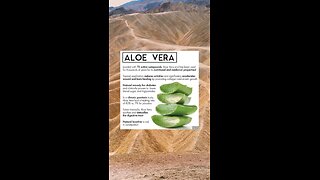 Unlock Aloe Vera Magic: Healing, Beauty & Nutrition! #shorts