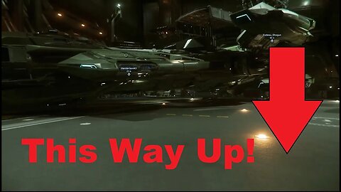 The Org Commander of 19th NAS Cannot Fly! | Star Citizen Gameplay