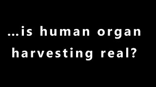 …is human organ harvesting real?