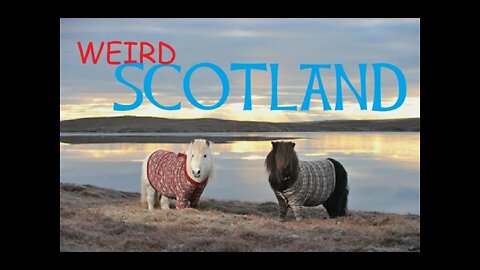 Weird Scotland - No cats or rats