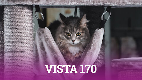 Petrebels cat trees - Vista 170 - For lucky cats