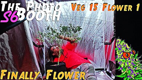The Photo Booth S6 Ep. 9 | Veg 15 Flower 1 | Finally Flower