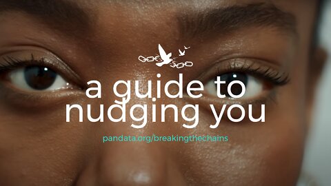 Breaking the Chains: A Guide to Nudging You