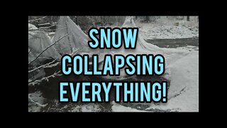 Snow Collapsing Everything! - Ann's Tiny Life