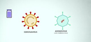 What is the difference between COVID-19 vaccines?