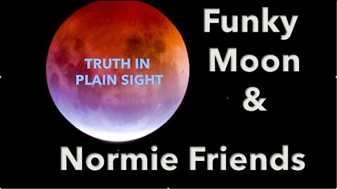 Funky Moon and Normie Friends - Truth in Plain Sight