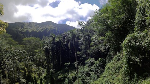 Mauanawilli Falls Hike, Oahu Hawaii