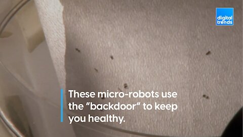 These micro-bots keep you healthy using the "backdoor".