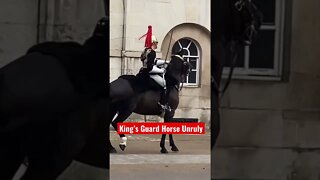 The King’s Guard Horse Unruly #shorts #kingcharles #kingcharlesiii #queenelizabethii #buckingham