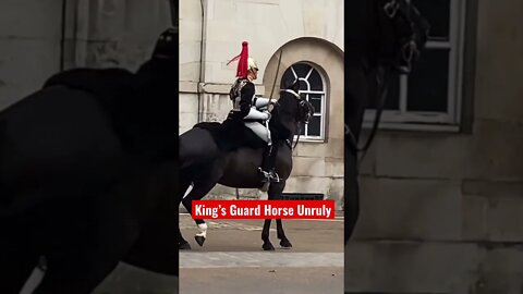 The King’s Guard Horse Unruly #shorts #kingcharles #kingcharlesiii #queenelizabethii #buckingham