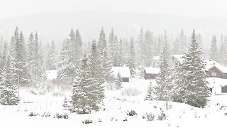 Relaxing Blizzard Sounds for Sleeping