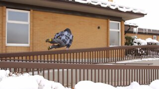 How to Parkour in Winter (snow and ice) - Ronnie Shalvis 2012