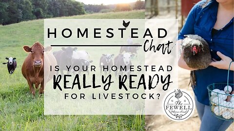 Homestead Chat #001 | Are you REALLY Ready for Livestock?