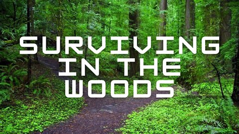 Surviving in the Woods - Tips and Tricks