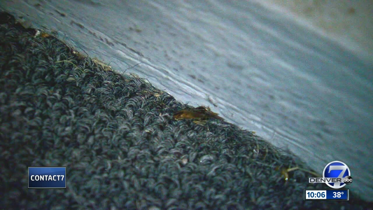 Condo infested with cockroaches; landlord offering no help to tenants