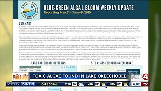 Algae considered too dangerous for swimming discovered in Lake Okeechobee