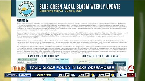 Algae considered too dangerous for swimming discovered in Lake Okeechobee