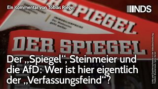 Der „Spiegel“, Steinmeier und die AfD: Wer ist hier eigentlich der „Verfassungsfeind“? | Riegel NDS