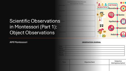 Scientific Observation Training (Part 1): Object Observations - AMI #montessori