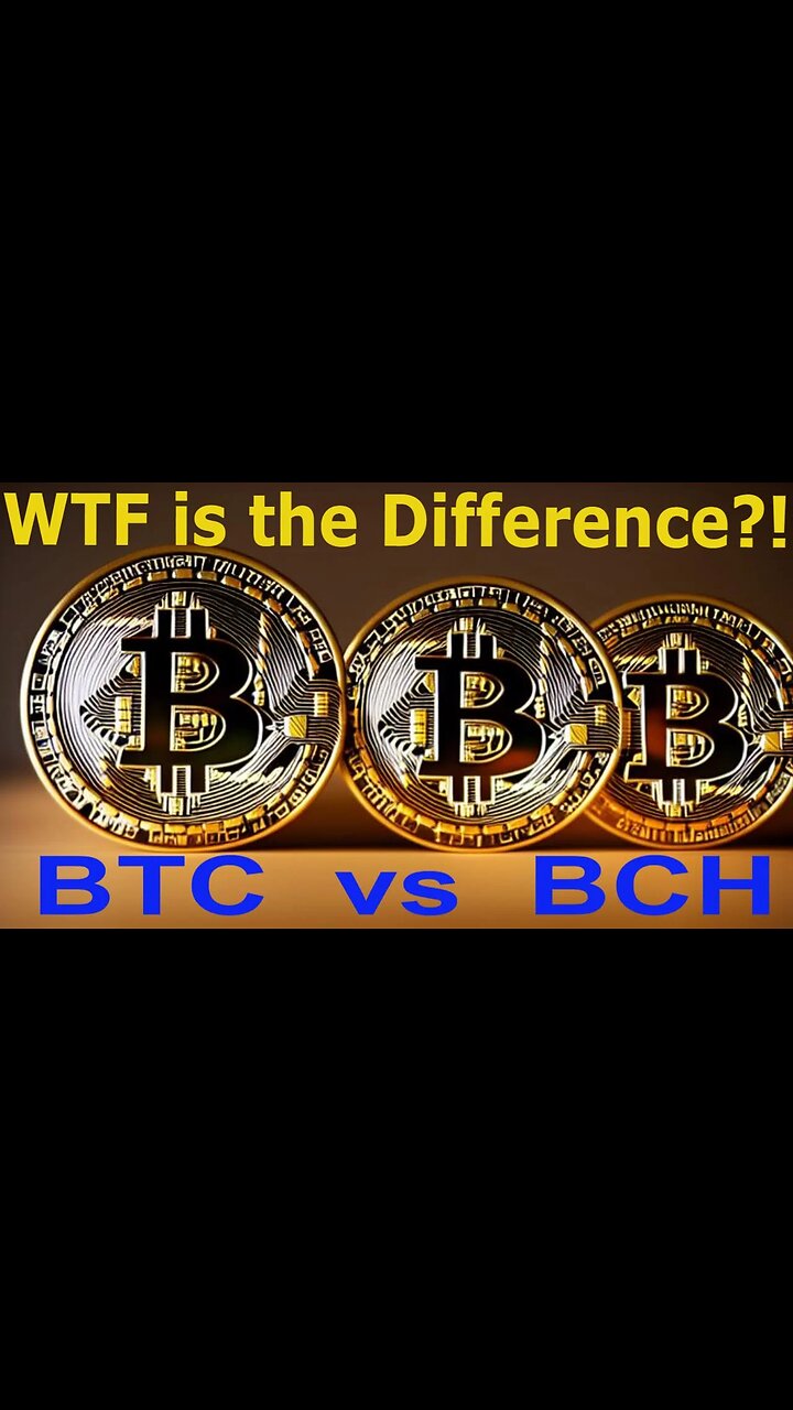 What s the difference between bitcoin and bitcoin cash find out now 