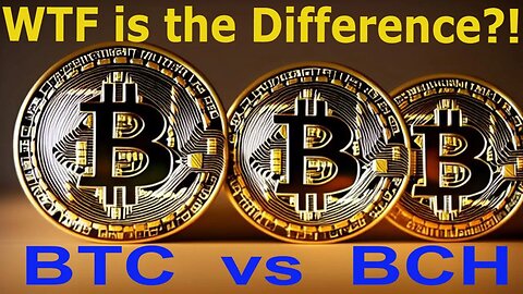 What's the Difference Between Bitcoin and Bitcoin Cash? Find Out Now! #Shorts