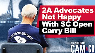 Some 2A Advocates Not Happy With Open Carry Bill