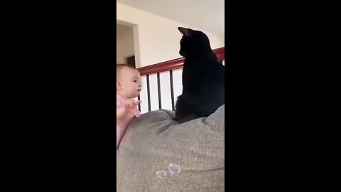 Funny cats and babies moments