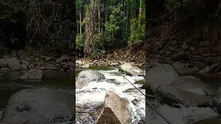 小雨ですが、釣りしてます