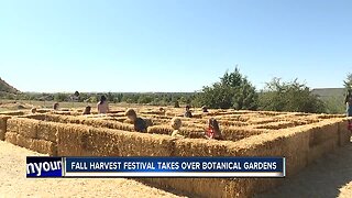 Fall Harvest Festival takes over Botanical Garden