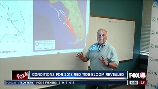 USF researchers discover red tide formation zone
