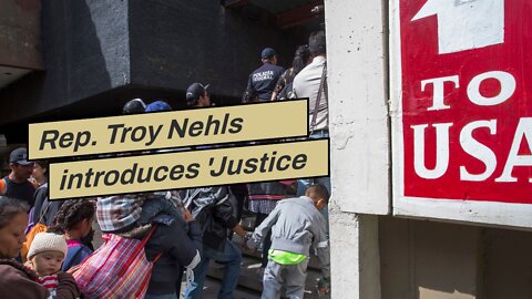 Rep. Troy Nehls introduces 'Justice for Angel Families Act'