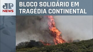 Grécia tem o maior incêndio florestal da União Europeia