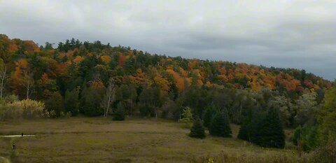 Rouge National Urban Prak Ontario, Canada. Oct-21-2023.A true nature display of amazing fall Colors.