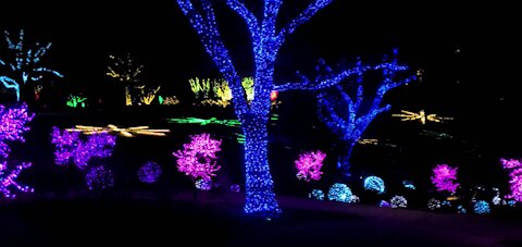 Cheekwood Christmas Lights