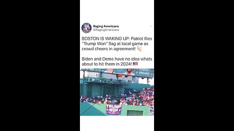 THIS HAPPENED AT FENWAY PARK