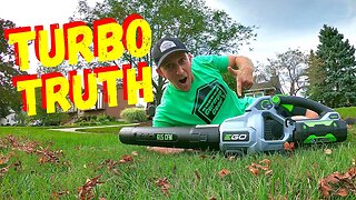 IS THE EGO 615 CFM BLOWER THE BEST CORDLESS ELECTRIC BLOWER UNDER $200?