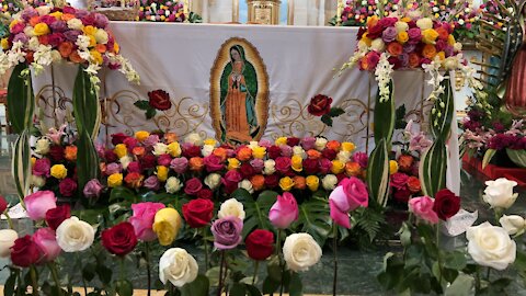 Our Lady of Guadalupe and Juan Diego present roses to the people