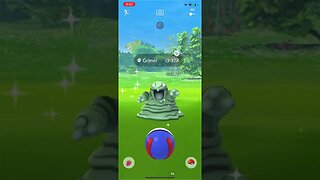 Shiny Compilation