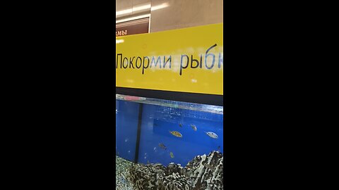 Feeding Communist Fish For 100 Rubles