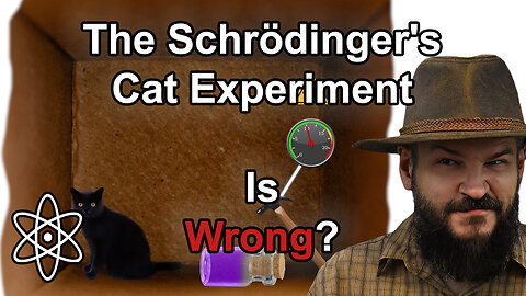 This is Missed in the Schrödinger's Cat Experiment!|⚛