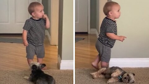 Adorable puppy desperately wants belly scratches from baby