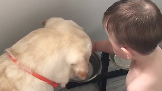 Baby boy loves to hand feed pet Labrador
